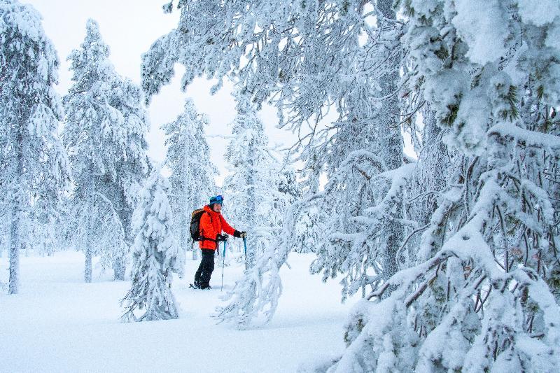 Suomu Chalets Suomutunturi ภายนอก รูปภาพ